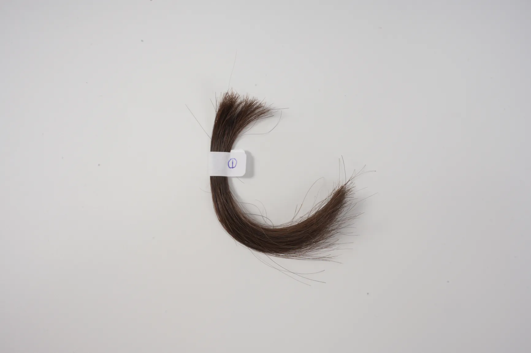 Hair samples example